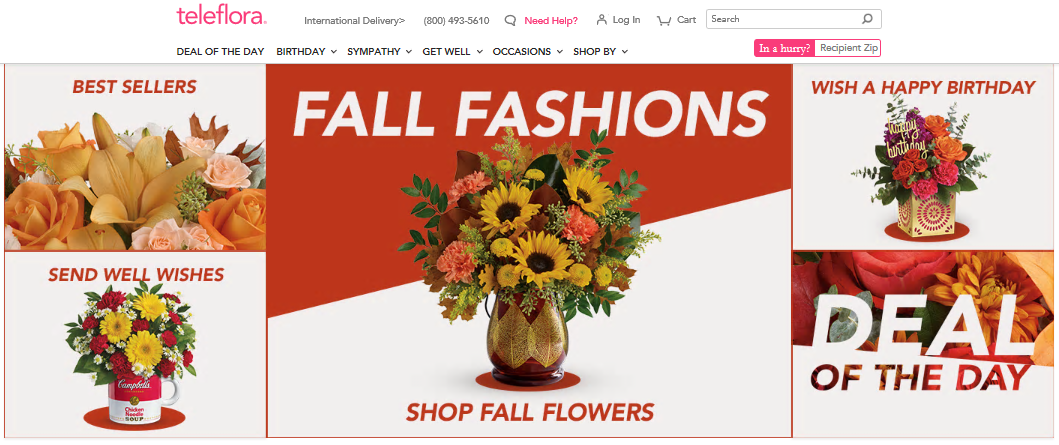 Teleflora Flowers Coupons